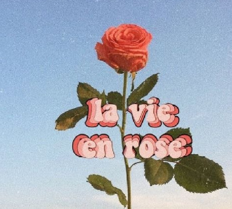 LA VIE EN ROSE